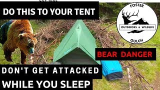 Multiple Bear Attacks in July 2017 How to Defend Yourself From Backcountry Grizzlies amp Black Bears [upl. by Neerak]