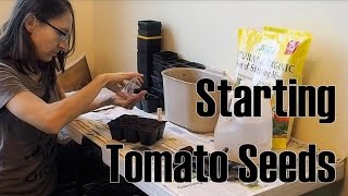 How to Start Tomato Seeds [upl. by Zared550]