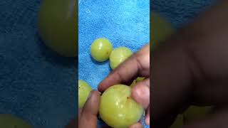 Amla murabba recipeshortvideos youtubevideo viralvideo [upl. by Reivaxe]