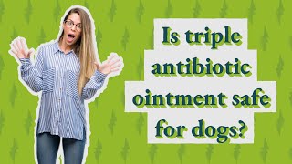 Is triple antibiotic ointment safe for dogs [upl. by Lauer]