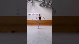 Practicing pirouettes in the Studio by Intermezzo Ambassador Elisabetta Formento ballerina ballet [upl. by Bean306]