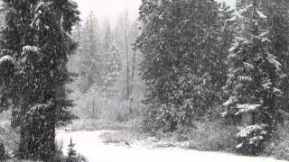 Fast Falling Snow 1080p Hd Without Music [upl. by Ilyah]