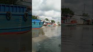 Barges and fishing boats [upl. by Ynnol234]