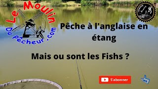 Pêche à langlaise en étang [upl. by Sibylla]