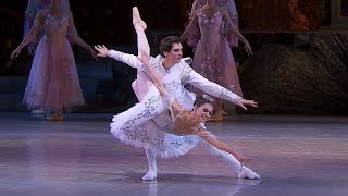 Grand Pas de Deux  Adagio  NUTCRACKER Tchaikovsky  National Opera of Ukraine [upl. by Aisatal]