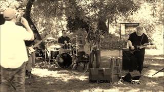 LIVE in the DOG PARK BORDERTOWN  quotlil sisterquot Original Rock and Blues from Vancouver WA [upl. by Wsan]