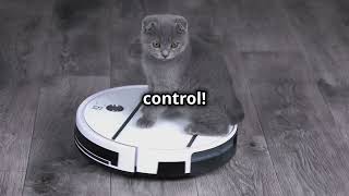 Cat on a Roomba [upl. by Elagibba514]