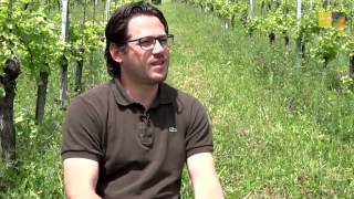 Weingut Hannes Sabathi [upl. by Zitah]