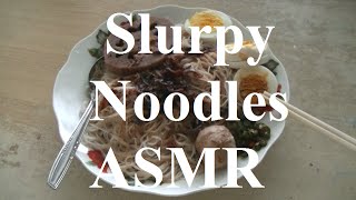 Slurpy Noodles ASMR [upl. by Leanora735]