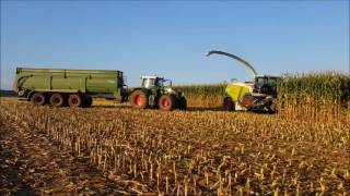 Maishäckseln 2016 mit Claas Jaguar 970 und Fendt und Massey Ferguson [upl. by Clava]