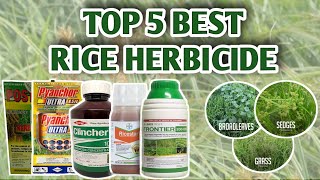 TOP 5 BEST RICE HERBICIDE  Vlog12 [upl. by Lorine]