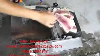 YP30 fish peeling machine fish skinning machine skinner skin removing machine [upl. by Yulma316]