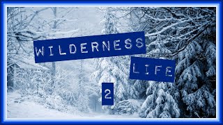 Wilderness Life 2 2024 [upl. by Sukram]