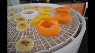 NESCO FD 1040 DEHYDRATOR REVIEW [upl. by Matthiew]