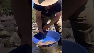 Panning for GOLD at margin reserve gottagetthatglitter goldgetter goldmining goldprospecting [upl. by Alisia]