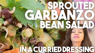 Sprouted GARBANZO BEAN Salad  Healthy Recipe  Kravings [upl. by Ebba]