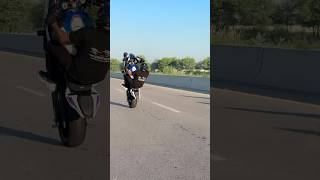 New S1000rr Wheelie🔥 bikeriders motorcycle sportbike s1000rr bmws1000rr wheelie [upl. by Herriott]