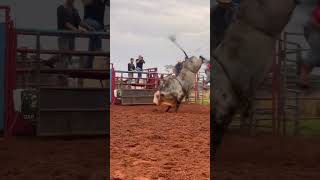 TOURO CURIANGO  Cia de rodeio Salomao 🐂 maquinadepulo rodeiro peãoderodeio atletasdepulo [upl. by Terence]