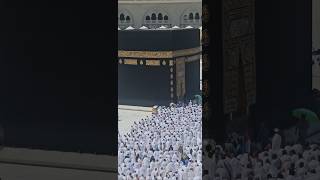 Kaaba Live🔴 Today  October 12 2024  Ytshorts tawafekaaba kaabalive original makkahofficial [upl. by Francklin]