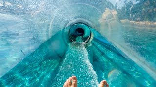 Aquatica Orlando  Dolphin Plunge  Water Slide Through Tank [upl. by Anya]