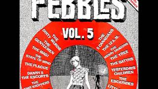 Pebbles Vol5  13  State Of Mind  Move [upl. by Maiocco]