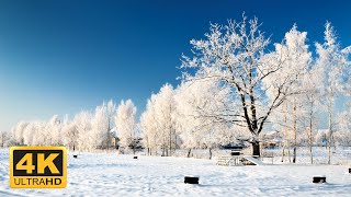 4K 11 Hours Of Beautiful Winter Scenes And Soothing Music for Relaxation [upl. by Rebba795]