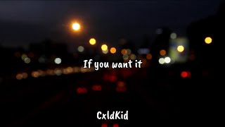 CxldKid  If you want it Official Lyric Video [upl. by Palestine275]