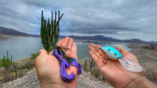 PESCANDO EL MEJOR LAGO DEL MUNDO  Lobinas Gigantes en Bacurato [upl. by Ttekcirc]