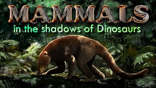 Early MAMMALS of the Mesozoic [upl. by Templa37]