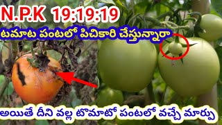 NPK191919 Uses in telugu NPK plant growth fertilizer in telugu fertilizer NPK agriculture [upl. by Namsu]