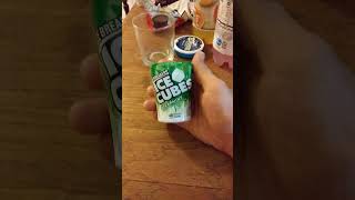 Ice Breakers Sugar Free Spearmint Ice Cubes Gum Review [upl. by Seldan]