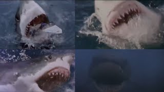 Shark Attack 3 Megalodon 2002  Megalodon Screen Time [upl. by Llebiram591]