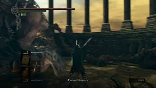 Kalameet Boss Fight  Darksouls 1 [upl. by Nelram216]