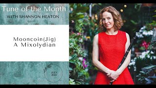 Mooncoin Jig  Tune of the Month with Shannon Heaton [upl. by Sylas]