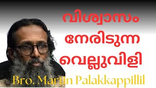 വിശ്വാസ വിചാരം Bro മാർട്ടിൻ പാലക്കാപ്പിള്ളിൽ [upl. by Summons350]