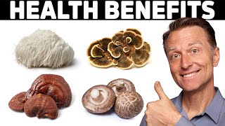 The MindBlowing Benefits of 4 Mushrooms [upl. by Spike770]