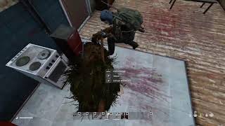 DayZLive stream [upl. by Tye]