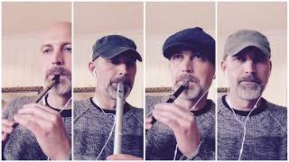 O’Sullivans March tin whistle galore [upl. by Ceil938]