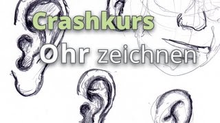 Crashkurs  Ohr zeichnen [upl. by Charry]