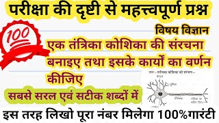 एक तंत्रिका कोशिका का संरचना बनाइए तथा इसके प्रमुख कार्यों का वर्णन कीजिएtantrika kosikaclass10th [upl. by Tsui]