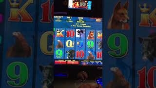 MASSIVE REAL PUB amp CLUB JACKPOTS POKIE WINS  Every Respin [upl. by Aneekat]