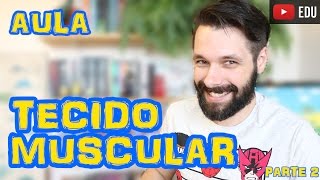 Tecido Muscular  Aula Parte II  Histologia  Biologia com Samuel Cunha [upl. by Gainor]