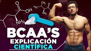 AMINOACIDOS BCAAs  ¿NECESARIOS o PERDIDA DE DINERO Explicación Científica [upl. by Parks]