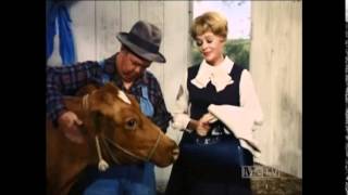 Petticoat Junction  The Lady Doctor  S6 E7  Part 3 [upl. by Ardnosak]