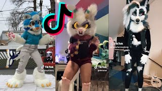 12 Minutes Of Fursuit  TikTok Compilation  Funny Furry 🐻 [upl. by Eesac540]