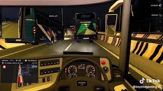 Bangladeshi Hanif Bus Beautiful Driving  Euro Truck Simulator 2 Gameplay [upl. by Ontine]