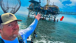 I took my Sea Doo 15 Miles to Fish THIS Oil Rig MULTIPLE SPECIES LANDED [upl. by Ilyk62]