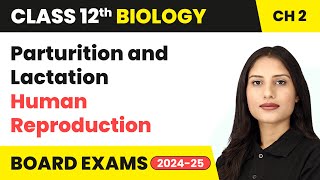 Parturition and Lactation  Human Reproduction  Class 12 Biology Chapter 2  CBSE 202425 [upl. by Joshia]