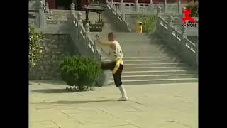 梢子棍 Baston Shao Zi  Shaolin Quan [upl. by Einittirb]