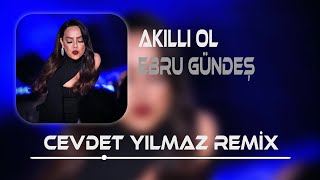 Ebru Gündeş  Akıllı Ol  Cevdet Yılmaz Remix   Sevgimin Bittiği Yerde Nefretim Başlar [upl. by Ferrand]